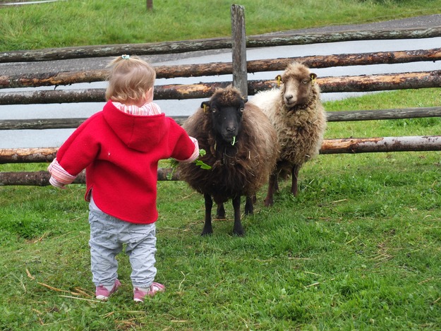 Heidi und Lotti unsere Schafe